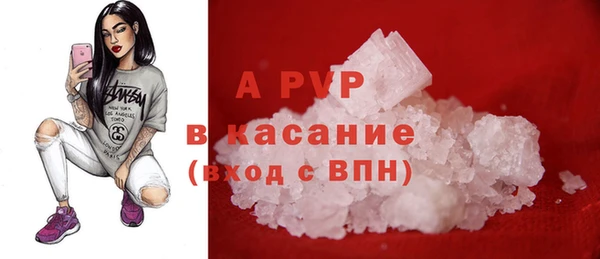 сатива Балахна