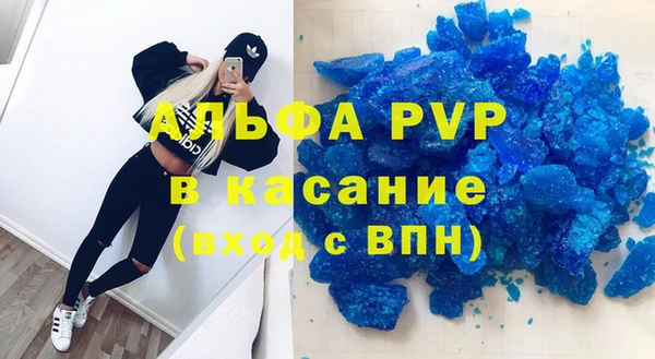сатива Балахна