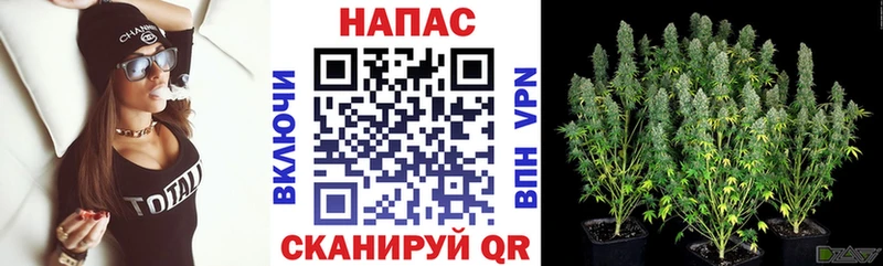 Шишки марихуана AK-47  блэк спрут сайт  Уварово 